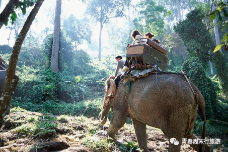 中国移动全球通话费套餐价格表_中国移动全球通最低消费_中国移动全球通信号好吗