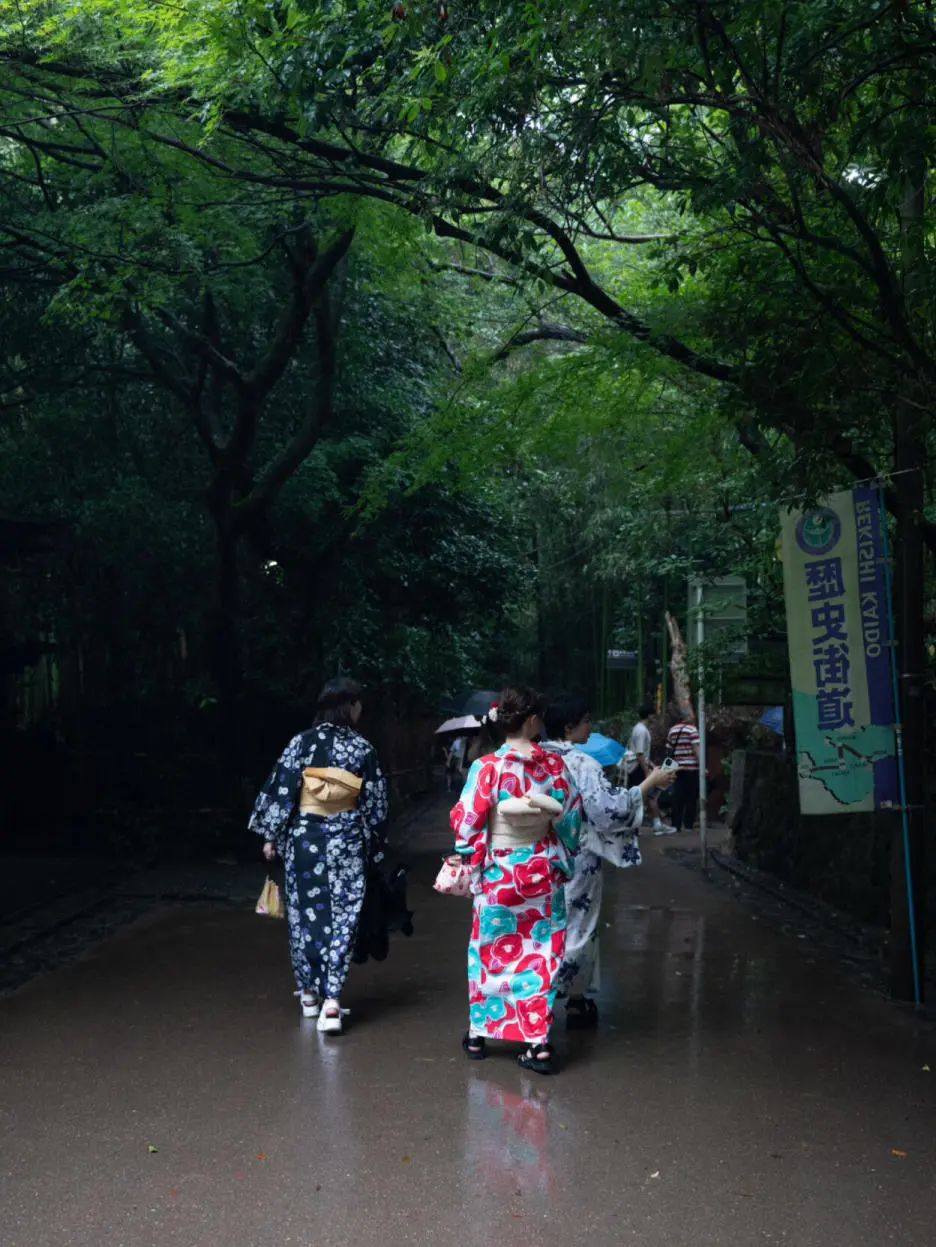 冰淇淋流量套餐是什么意思_冰淇淋流量卡办理_冰淇淋流量包