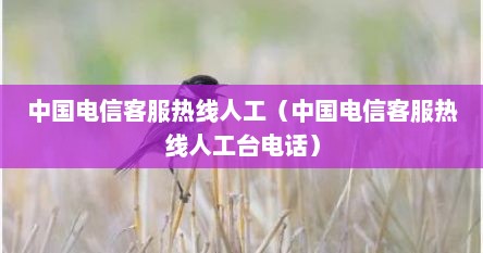 电信官方电话人工服务_中国电信人工客服电话是多少号_中国电信人工服务电话