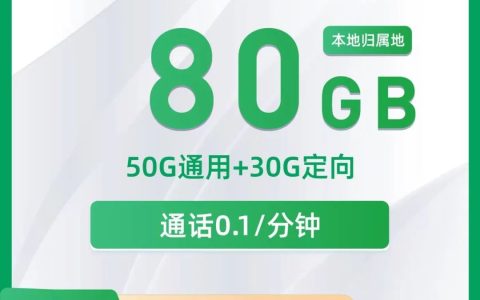 查看 2024 年实惠的电话卡数据包，从四大运营商中选择