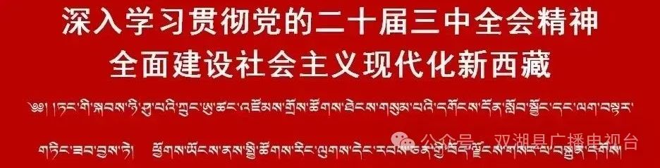 诈骗防范电信诈骗方案_诈骗防范电信诈骗宣传语_防范电信诈骗