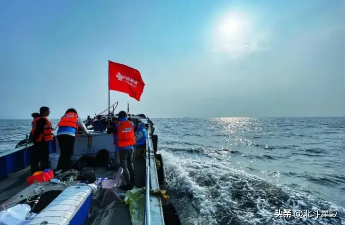 联通随心卡怎么样_联通4g流量随心卡套餐_联通随心卡套餐介绍